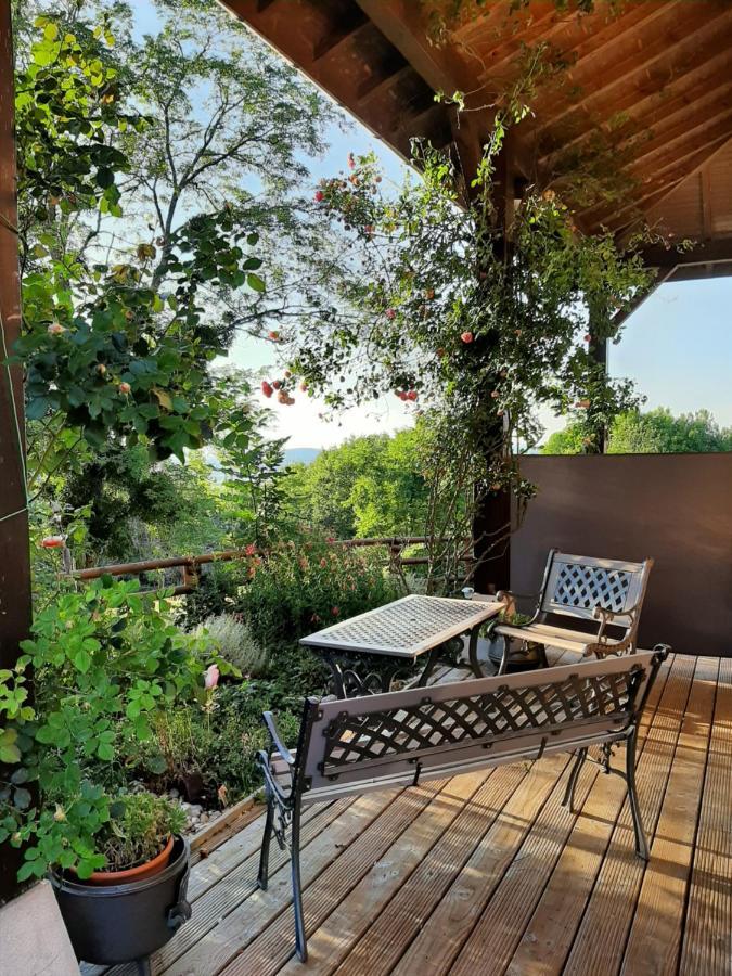 Le Grand Noyer Bed & Breakfast Ambronay ภายนอก รูปภาพ